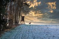 Deerstand in frozen winter forest on a hill during sunset by Uwe Merkel thumbnail