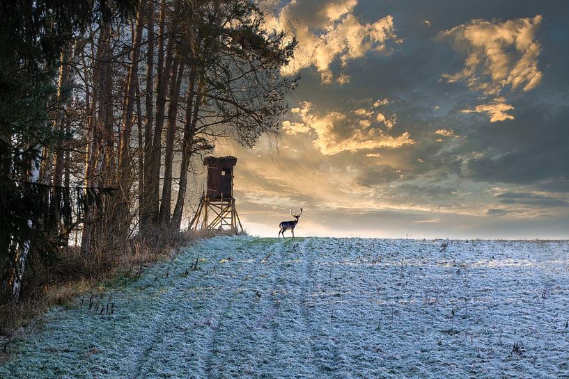 Deerstand in frozen winter forest on a hill during sunset by Uwe Merkel