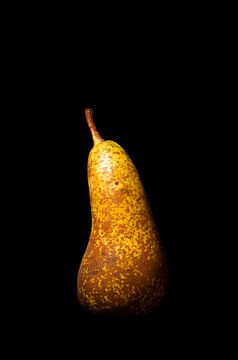 Conference pear by Werner Lerooy