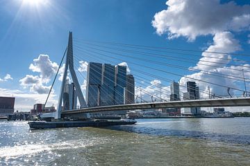 Erasmusbrug in Rotterdam aan de rivier de Nieuve-Maas, Rotterdam, Nederland. van Tjeerd Kruse