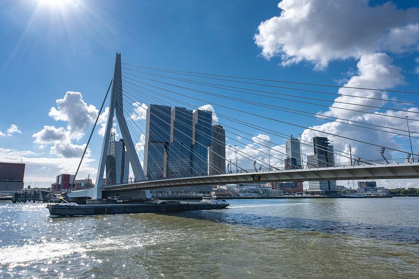 Erasmus Bridge in Rotterdam on the river Nieuve-Maas, Rotterdam, the Netherlands. by Tjeerd Kruse