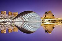 Palau de les Arts Reina Sofía met L'Hemisfèric op de voorgrond
