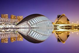 Palau de les Arts Reina Sofía mit dem L’Hemisfèric im Vordergrund von Thomas Rieger