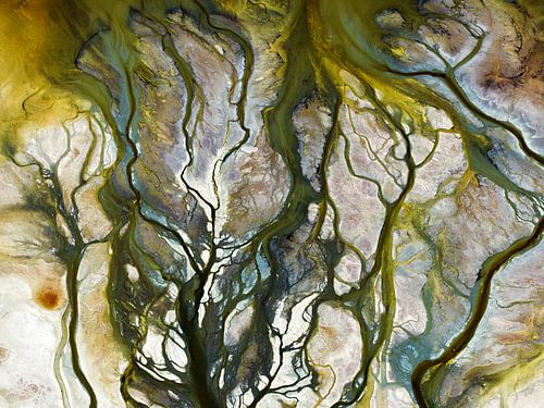 Couleurs de l'eau, lac Searles