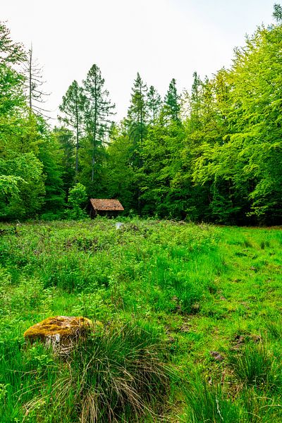 Randonnée estivale à vélo dans les environs de Schmalkalden jusqu'à la vallée de la Werra près de Fambach - Thuringe - Allemagne par Oliver Hlavaty