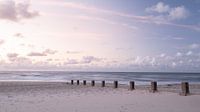 Landschappen 8