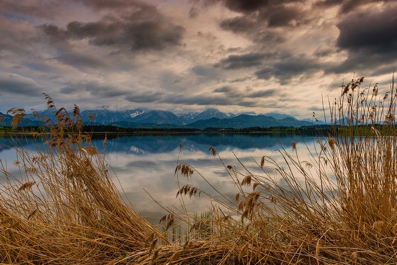 Hopfensee by Walter G. Allgöwer