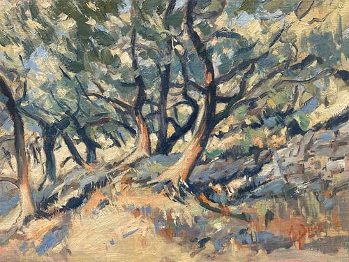 Olive grove with stone wall