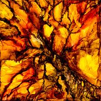 Arbre 2