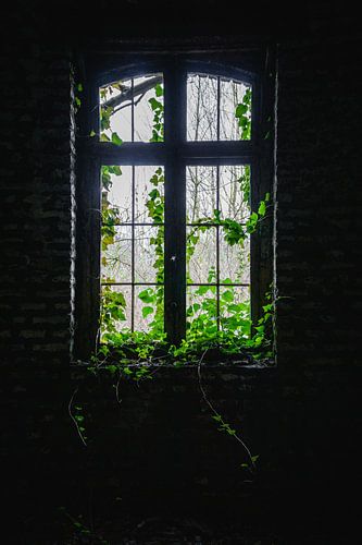 Die Natur übernimmt