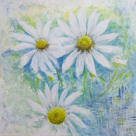 Madeliefjes van Iris Holzer Richardson