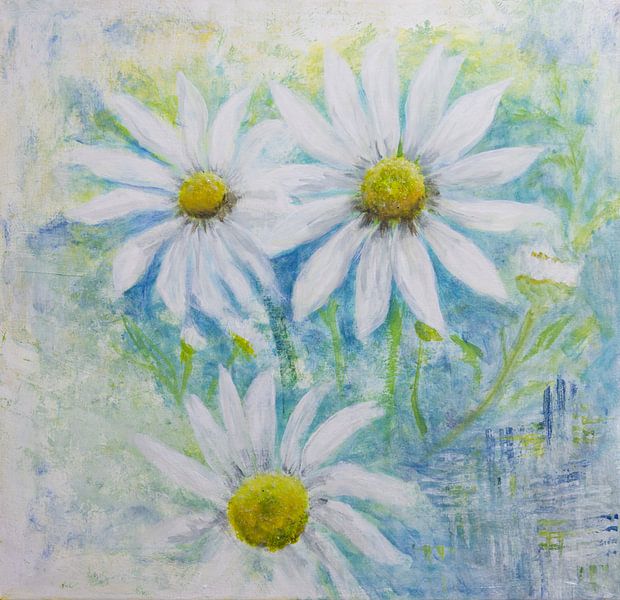 Madeliefjes van Iris Holzer Richardson