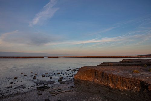 vasières près de wierum