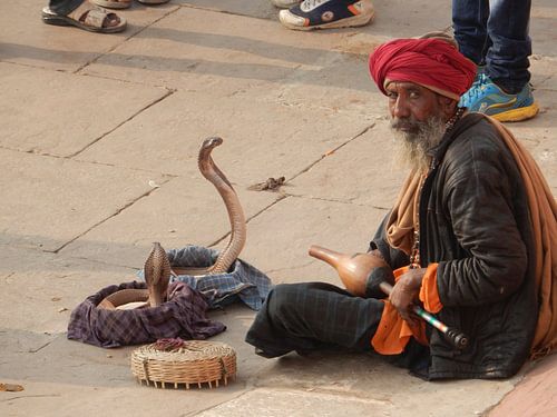 potret slangenbezweerder  von mark schreuder