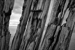 Omaha Beach abstract van Rob van der Teen