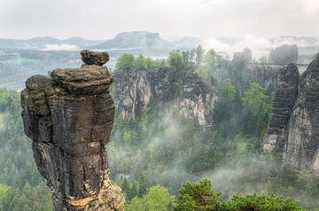 Blick über den Wehlgrund zur Bastei bei Nebel von Michael Valjak