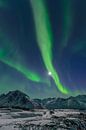Noorderlicht, Poollicht of Aurora Borealis in de nachtelijke hemel boven het eiland Senja in Noord N van Sjoerd van der Wal thumbnail