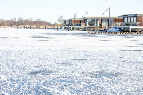 De Veenhoop winter 2021