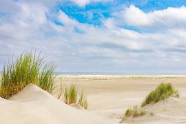 Sommer am Strand von Terschelling von Sjoerd van der Wal Fotografie