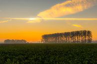 Sunrise Noordoostpolder van Martien Hoogebeen Fotografie thumbnail