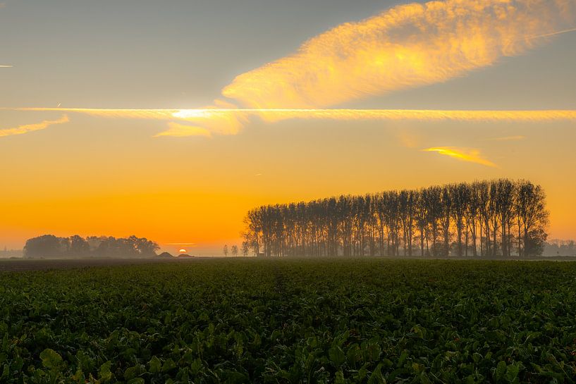 Sunrise Noordoostpolder van Martien Hoogebeen Fotografie