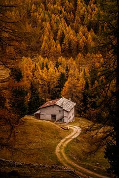 Eine Hütte im Herbstlicht in den Schweizer Alpen
