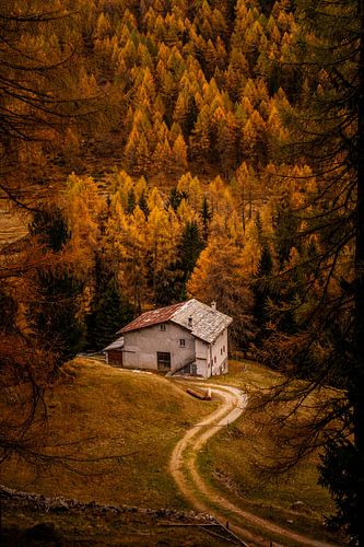 Eine Hütte im Herbstlicht in den Schweizer Alpen
