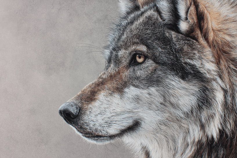 Wolf Stil Waakzaam in Natuurlijke Grijstinten van Eva Lee