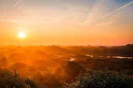 Good morning! Good morning! by Celine