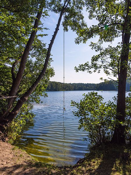 Arbres et lieu de baignade au Pipersee près de Salem par Rico Ködder