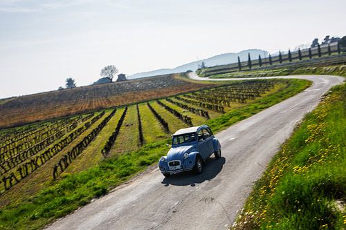 Cruisen met een 2CV in de Provence Frankrijk
