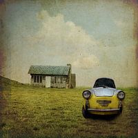 The car