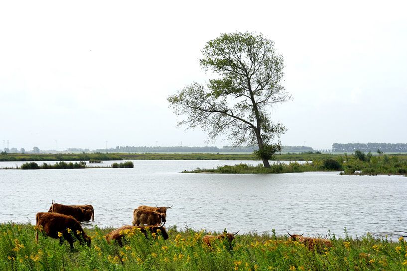 Tiengemeten  by Eric ijdo