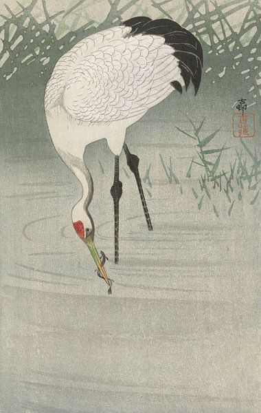 Fischkran im flachen Wasser, Ohara Koson von Meisterhafte Meister