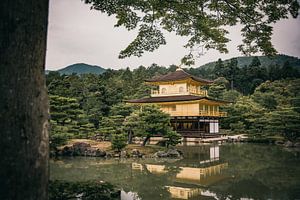 Kinkaku-ji (gouden tempel) sur Sascha Gorter