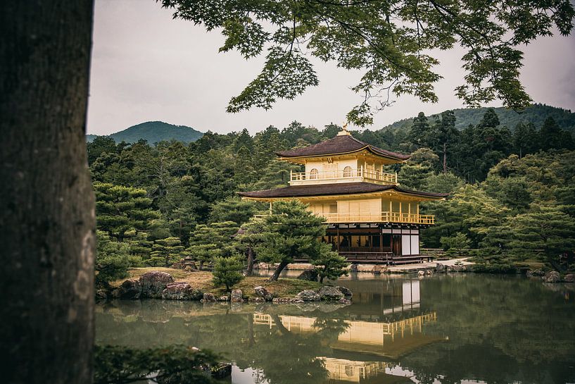 Kinkaku-ji (gouden tempel) von Sascha Gorter