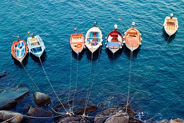 Bootjes dobberend in het water I Riomaggiore, Cinque Terre I Italië van Floris Trapman