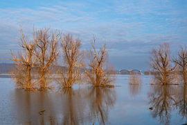 Crue avec vue sur le barrage de Driel