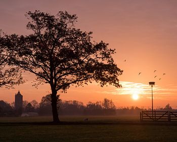 Zonsopkomst over de Utrechtse polder