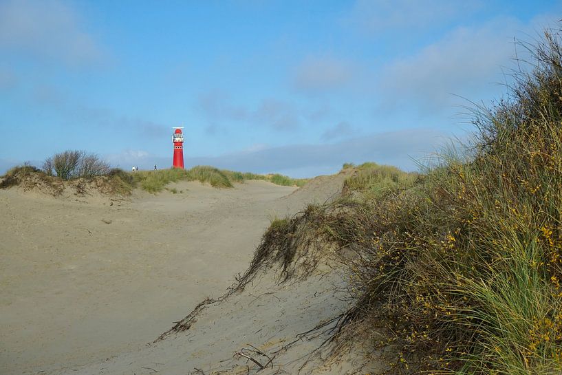 Duinpan Schiermonnikoog von Co Bliekendaal