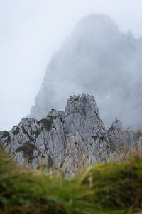 Sommet dans le brouillard