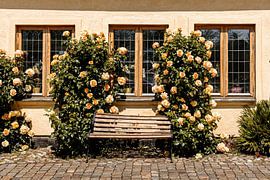 Picturesque bench on a cobbled road in Sweden by Sarah Em