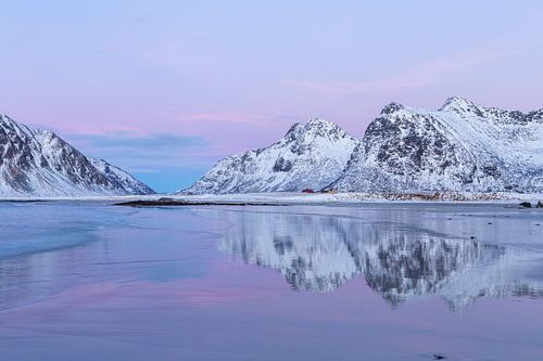 Der Strand von Skagsanden färbt sich im Abendlicht violett. Lofoten, Norwegen