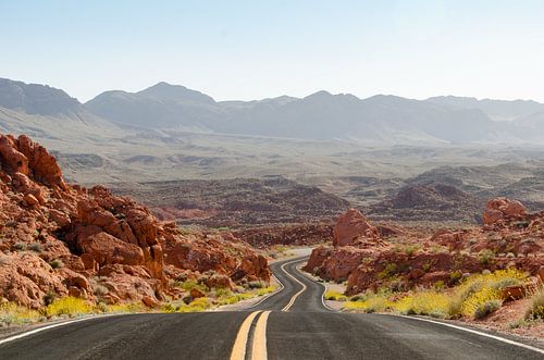 The long road von Sandra Bechtold