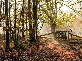 beegderhei von e.a. hoogenboom