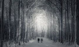 Spaziergang im Winterwunderland