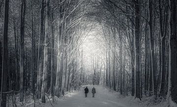 Spaziergang im Winterwunderland