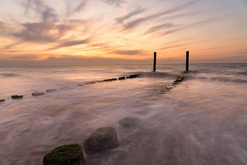 Dynamiek op het stand