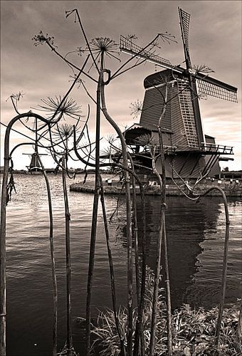 Zaansche Schans