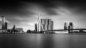 Skyline Rotterdam in zwart-wit